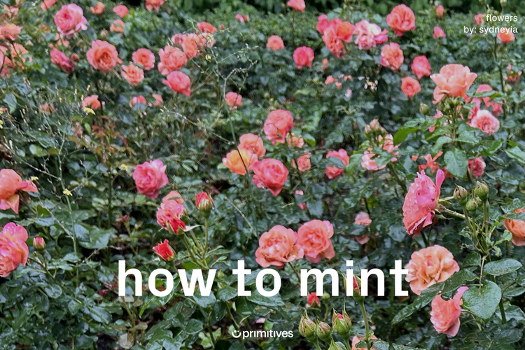 how to mint